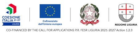 European Union co-financed by the call for application